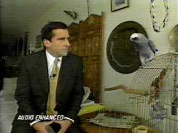 Steve Carell